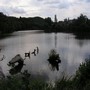 34050-130234393677863-6288028-n.jpg