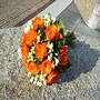 images_7.jpg